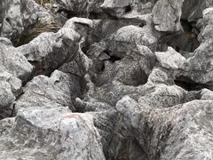 -千岛湖石林