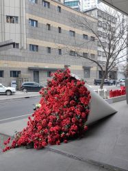 -上海玫瑰医疗美容医院