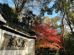 -虎跑公园