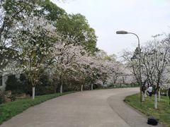 -南山植物园