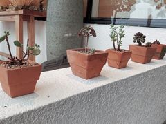 -如花大师咖啡·