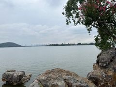 -东湖落雁景区