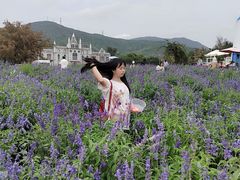 -玫瑰海岸文化旅游度假区