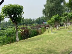 -天府芙蓉园