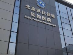 -北京派仕佳德动物医院·超导核磁·CT·神经科·骨科·内外科·急重症管理中心