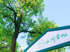 -海珠湖公园