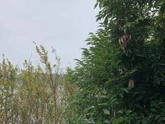 -三岔湖景区