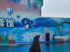 -北戴河圣蓝海洋公园