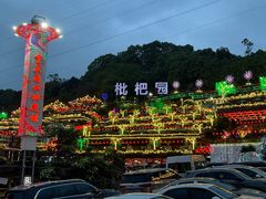 -枇杷园食为鲜火锅(南山店)