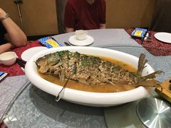 黄河大鲤鱼-商都酒店( 北京南站店)