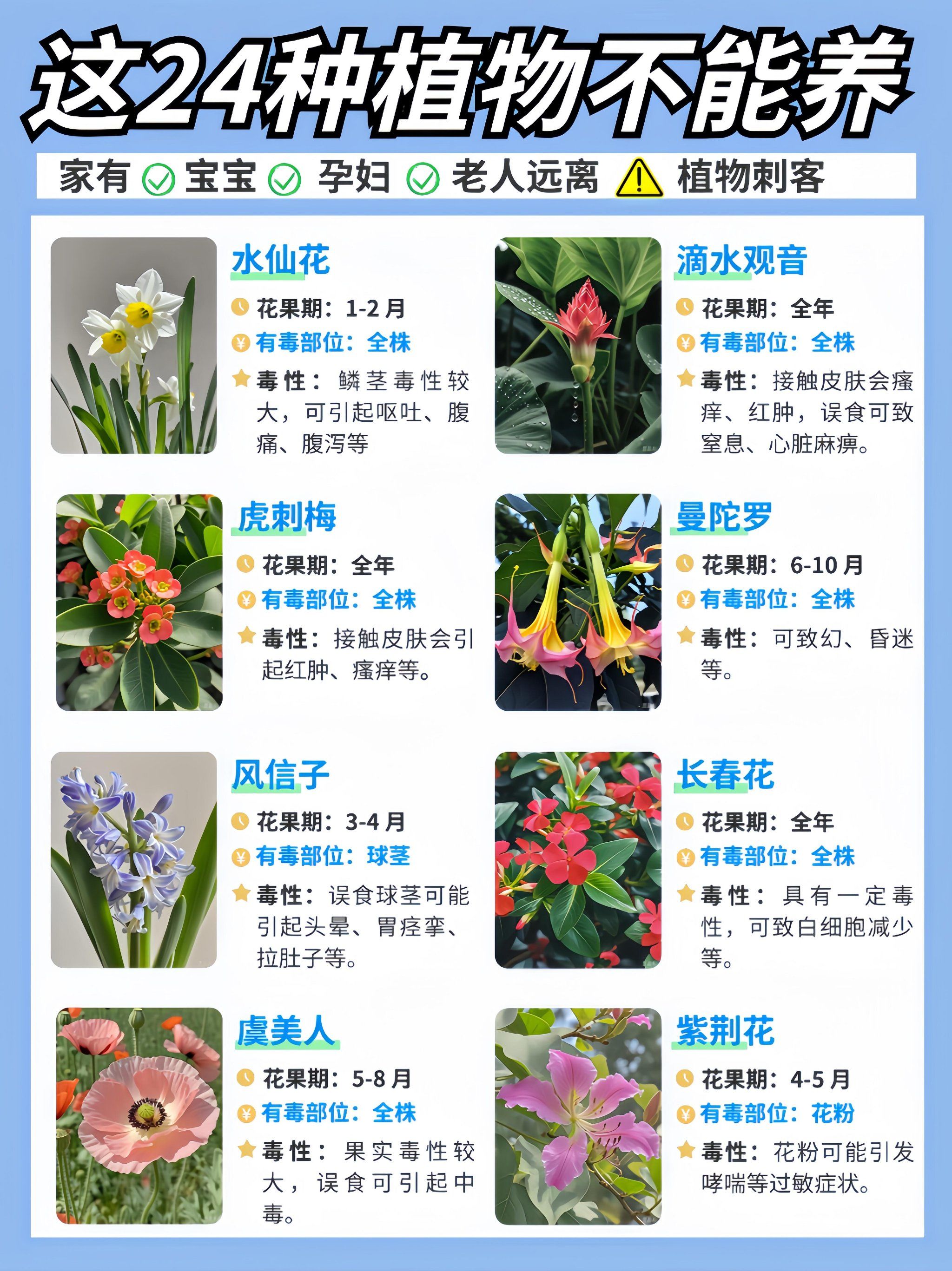 24种有毒植物🆘家有娃,孕妇,老人别养❗
