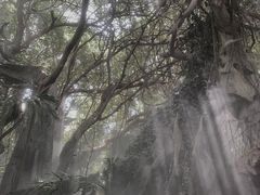 -青青世界