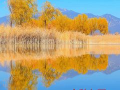 -野鸭湖国家湿地公园