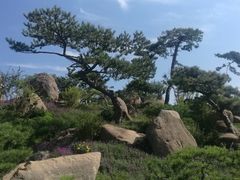 -罗红摄影艺术馆