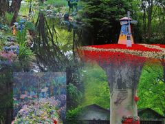 -上海共青森林公园