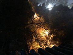 -武汉大学-樱园