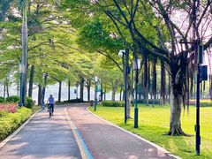 -顺峰山公园