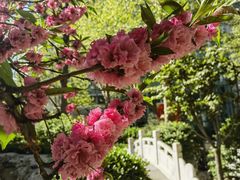 -中国人民解放军总医院