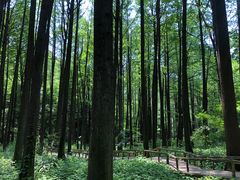 -波尔登森林公园