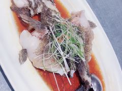 -望乡楼上海菜(日月光店)