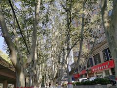 -解家河南菜(金水路店)