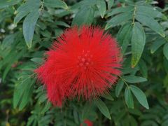 -三亚南山文化旅游区