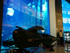 -迪拜水族馆及水下动物园