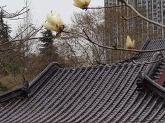 -堤角公园