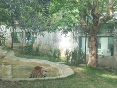 -成都动物园