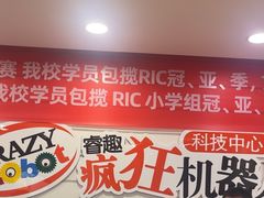 -睿趣疯狂机器人·乐高·编程·STEM(橡树湾中心)