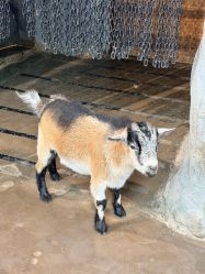 -Zoolung Zoolung动物主题公园(海信广场店)