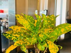 -街角 T·COFFEE 融合料理·BISTRO(车公庙店)