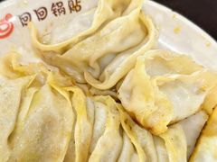 -回回锅贴(小河沿店)
