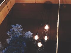 -管氏翅吧(广渠门店)