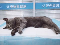 -美迦爱-牙专科·兔科·骨科诊疗中心(北苑店)