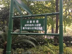 -华山儿童公园