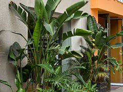 -元气草泰式按摩The Vitality Grass Spa(南海万达店)