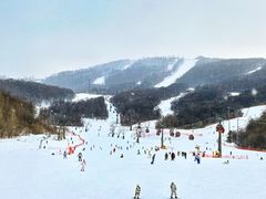 -中旅松花湖滑雪场
