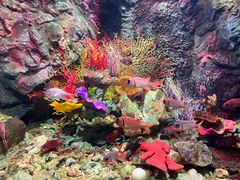 -太平洋海底世界