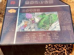 -白水寺森林公园