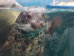 -成都浩海立方海洋公园