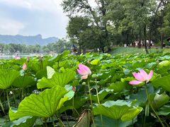 -承德避暑山庄景区