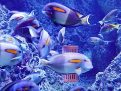 -成都浩海立方海洋公园