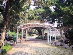 -叶家花园