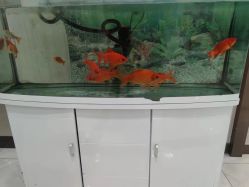 -邢台妇产医院