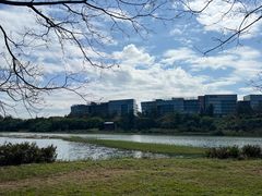 -华侨城湿地公园