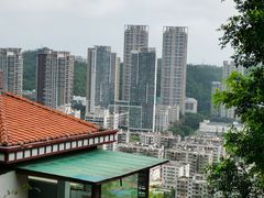 -板樟山森林公园