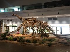 景点-自贡恐龙博物馆