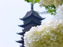 -常熟方塔园