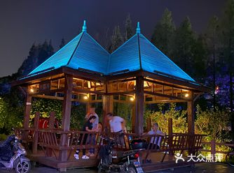 纷纷扬扬飘落来的碎片华径公园夜景迷人……今日与老友一